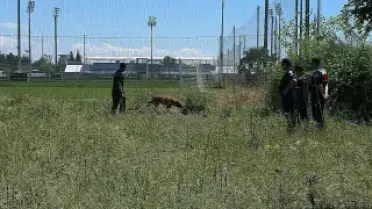 Antalya'da İnsan Kemiği Bulundu: Jandarma Soruşturma Başlattı