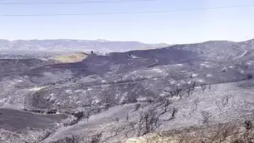 Kaliforniya'da Günlerdir Süren Orman Yangını Kontrol Altına Alınamıyor