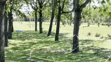 Küçükçekmece'de Polise Silahlı Saldırı Girişimi: Kalaşnikof Tüfek Ele Geçirildi