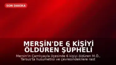 Mersin'de 6 Kişiyi Öldüren Şüpheli İntihar Etti