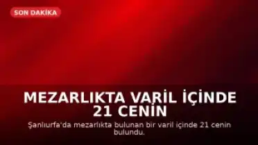 Mezarlıkta Varil İçinde 21 Cenin Bulundu