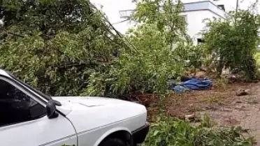 Osmaniye'nin Düziçi İlçesinde Hortum Maddi Hasara Yol Açtı