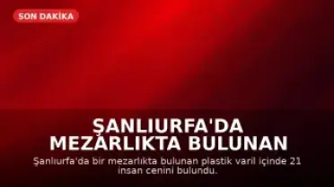 Şanlıurfa'da Mezarlıkta Bulunan Varilde 21 Cenine El Konuldu