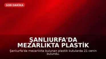 Şanlıurfa'da Mezarlıkta Plastik Kutularda 21 Cenin Bulundu