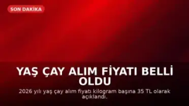 Yaş Çay Alım Fiyatı Belli Oldu