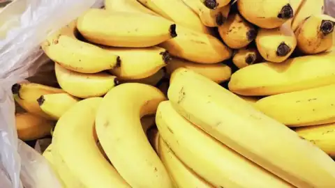 Armut, Muzun Yerine Sağlıklı Alternatif Olarak Öne Çıkıyor