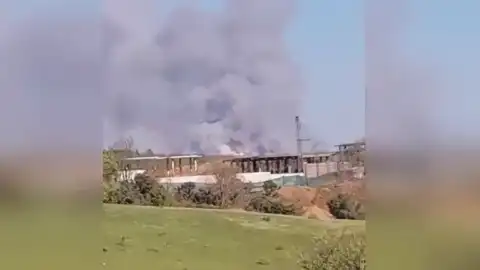 Beykoz'da Orman Yangını: Müdahale Sürüyor