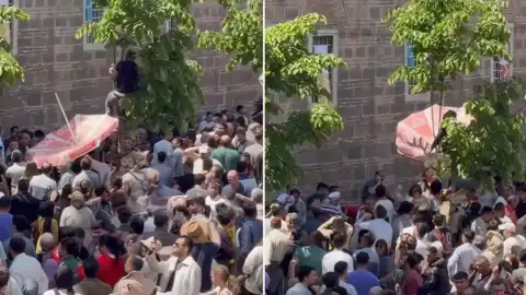 Mesir Macunu Festivalinde Vatandaşın İlginç Yöntemi Dikkat Çekti