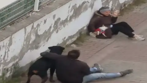 Ümraniye'de Ağızlıksız Rottweiler Küçük Köpeğe Saldırdı