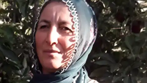 İş Yerinde Ağaç Faciası: 56 Yaşındaki Kadın Hayatını Kaybetti