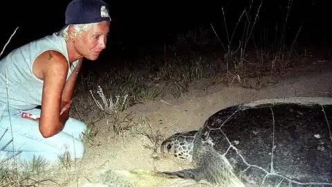 Lübnanlı deniz kaplumbağası korumacısı Mona Khalil İsrail saldırısında hayatını kaybetti