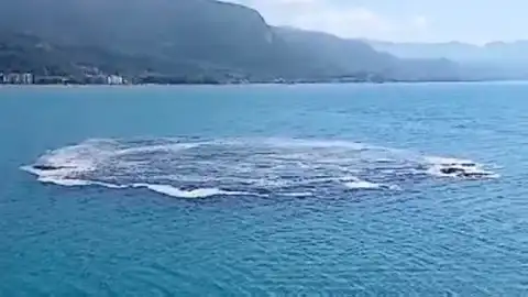 Kastamonu'nun Cide İlçesinde Denizde Olağanüstü Kabarma ve Koku Olayı