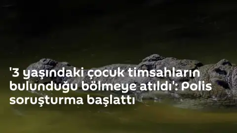 Old Hurst'ta 3 Yaşındaki Çocuğun Timsah Bölmesine Atılmasına İlişkin Soruşturma Başlatıldı