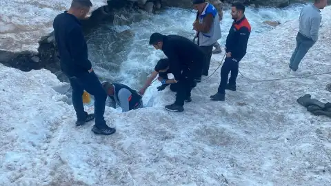 Hakkari'de Kar Kütlesi Altında Kalan İnek Ekiplerce Kurtarıldı