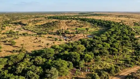 Afrika'da Çölleşmeyle Mücadele: 8 Bin Kilometrelik 'Büyük Yeşil Duvar' Projesi Hayat Buluyor