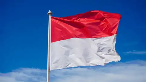 Endonezya Orta Sulawesi'de 6.7 Büyüklüğünde Deprem: Can Kaybı ve Yaralılar Var