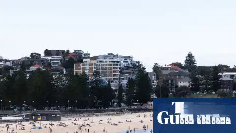 Coogee Sahili'nde Köpek Balığı Saldırısı: Bir Kadın Ağır Yaralandı
