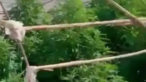 Hatay'da Uyuşturucu Operasyonu: 6 Kişi Tutuklandı