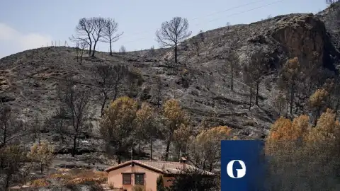 İspanya'daki Yangın Felaketinde Can Kaybı Artıyor: 12 Yabancı Uyruklu Vatandaş Hayatını Kaybetti