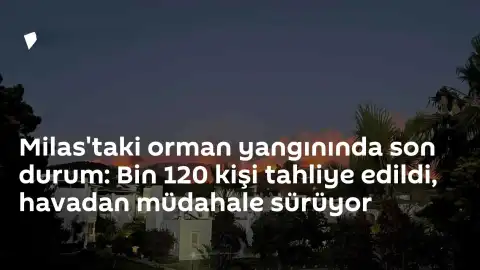 Milas'ta Orman Yangını Kontrol Altına Alınıyor: 1.120 Kişi Tahliye Edildi, Havadan Müdahale Sürüyor
