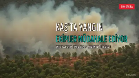 Antalya Kaş'ta Orman Yangını: Havadan ve Karadan Müdahale Sürüyor