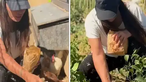 Asena, İstanbul'daki Yaşamını Sonlandırarak Yalova'da Çiftlik Hayatına Geçiş Yaptı