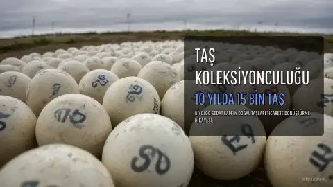 Doğal Taş Koleksiyonculuğuyla Hayatını Değiştiren Biyolog: Sedat Çam'ın 15 Bin Taşı