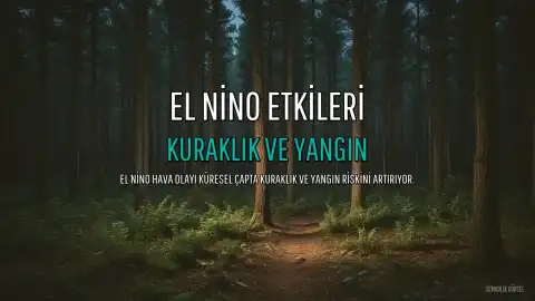 El Nino'nun Etkileri Sürüyor: Kuraklık ve Yangın Riski Artıyor
