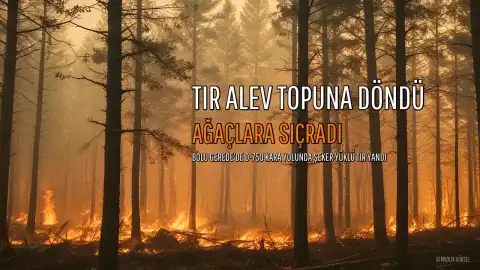 Gerede'de Şeker Yüklü TIR'da Yangın: D-750 Kara Yolu Ulaşıma Kapanmak Üzereyken Söndürüldü