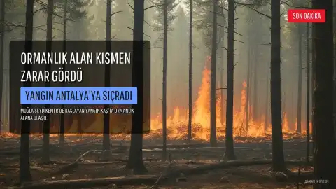 Muğla'daki Yangın Antalya'ya Sıçradı