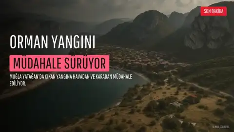 Muğla'nın Yatağan İlçesinde Orman Yangını: Havadan ve Karadan Müdahale Sürüyor