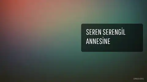 Seren Serengil Annesine Duygusal Bir Veda Mesajı Yayınladı