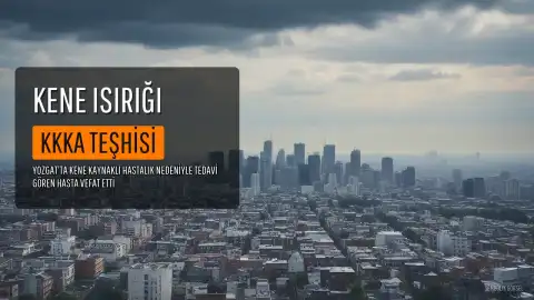 Yozgat'ta Kene Kaynaklı Kırım Kongo Kanamalı Ateşi Şüphesiyle Tedavi Gören Kadın Hayatını Kaybetti