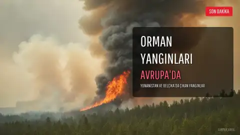 Yunanistan ve Belçika'da Orman Yangınları: İki Ölü, Tahliyeler ve Uluslararası Yardım