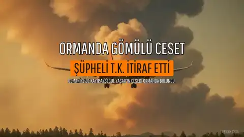 24 Gündür Kayıp Olan A.Y.'ın Cesedi Ormanda Bulundu, Şüpheli T.K. Gözaltına Alındı