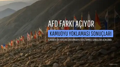 Almanya'da Kamuoyu Yoklaması: AfD Farkı Açıyor