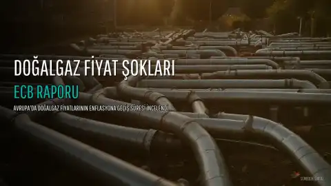 Avrupa Merkez Bankası'ndan Doğalgaz Uyarısı: Fiyat Artışları Enflasyona Daha Hızlı Yansıyor