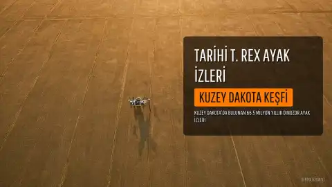 Kuzey Dakota'da İlk T. rex Ayak İzleri Bulundu