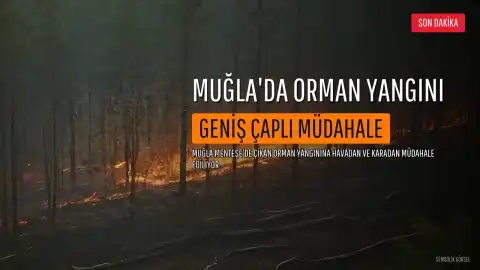 Muğla'nın Menteşe İlçesinde Orman Yangını: Geniş Çaplı Müdahale Başlatıldı