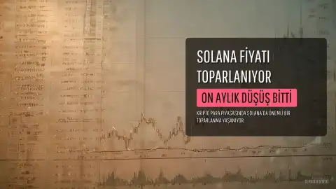 Solana, On Aylık Düşüş Serisini Sonlandırdı