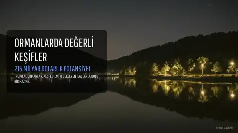 Tropikal Ormanlarda Keşfedilmeyi Bekleyen 215 Milyar Dolarlık İlaç Potansiyeli