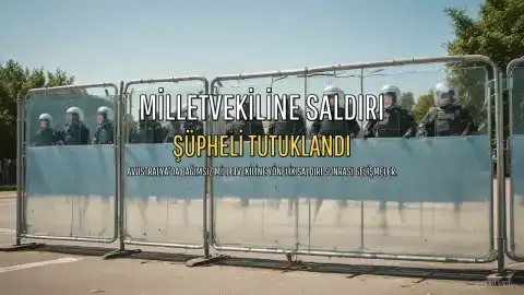 Bağımsız Milletvekili Helen Haines'e Araçlı Saldırı Sonrası Şüpheli Tutuklandı, Siyasi Ortam Uyarıldı