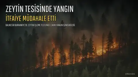 Balıkesir Burhaniye'deki Zeytin İşleme Tesisinde Çıkan Yangın Kontrol Altına Alındı