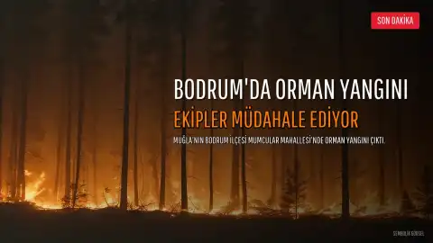 Bodrum'da Orman Yangını: Ekipler Havadan ve Karadan Müdahale Ediyor