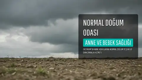 Erzurum'da "Her Gebeye Ebe" Projesi ile Normal Doğum Teşvik Ediliyor