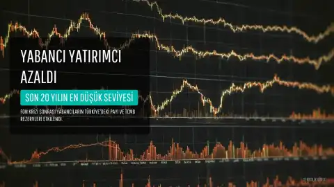 Fon Krizi Sonrası Yabancı Yatırımcıların Türkiye'ye Güveni Azaldı