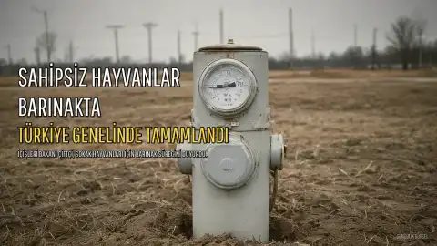 İçişleri Bakanı Çiftçi: Sokak Hayvanları İçin Türkiye Genelinde Hedeflenen Sayıya Ulaşıldı