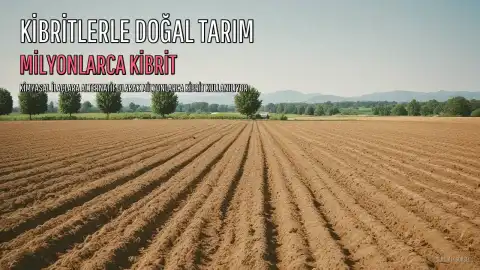 Milyonlarca Kibrit, Tarımda Doğal Bir Kalkan Oluşturuyor