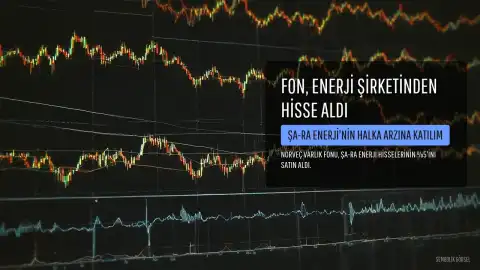 Norveç Varlık Fonu'ndan ŞA-RA Enerji'ye Yatırım: Tera Liderliğinde Halka Arz Gerçekleşti