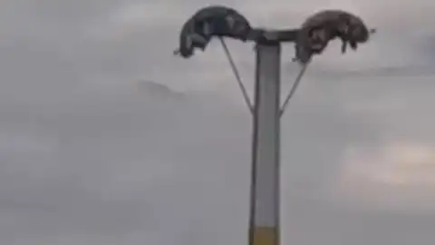 Buca Lunaparkta Bayramda Korku Dolu Anlar: Oyuncaklar Arızalandı, Vatandaşlar Havada Asılı Kaldı